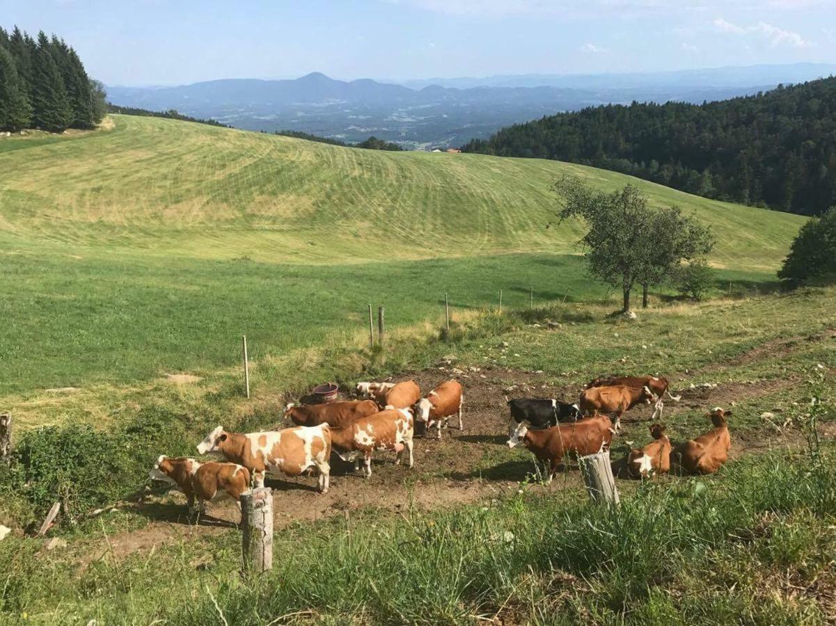 Apartments Planina Pod Sumikom Planina pod Sumnikom Bagian luar foto