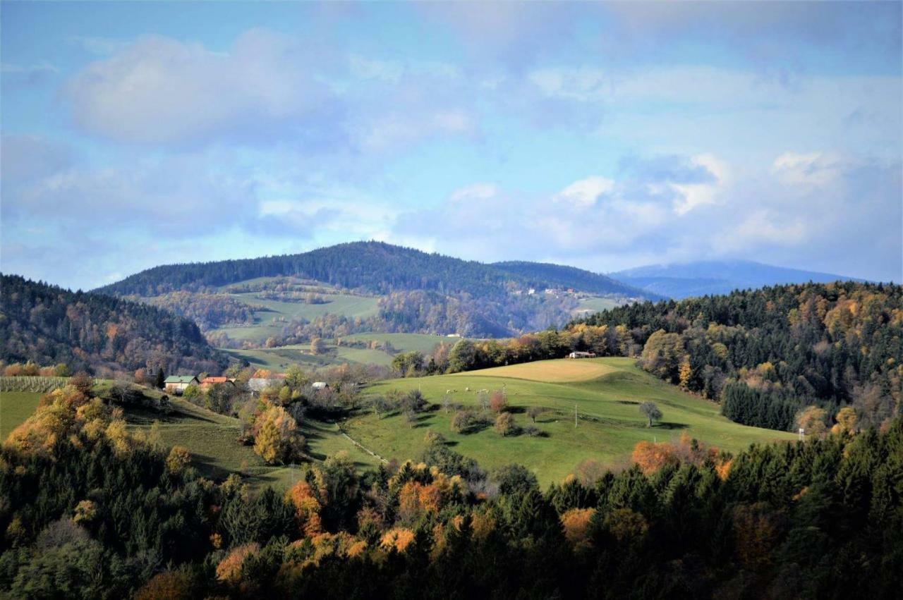 Apartments Planina Pod Sumikom Planina pod Sumnikom Bagian luar foto